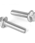 Two 1/4-20 x 1 stainless steel flanged hex bolts with full threads, plain finish.