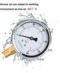 Elecall 60psi silicone-oil filled pressure gauge, 2-1/2 in stainless steel case, lower 1/4 in NPT, front view