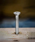 100 Pack Size Six Drywall Screws 1-1/4 Inch High Hardness Stainless Steel 304 Fine Thread Phillips Drive Bugle Head For Interior Wood Installation With Organizer Box And PH2 Long Bit close-up