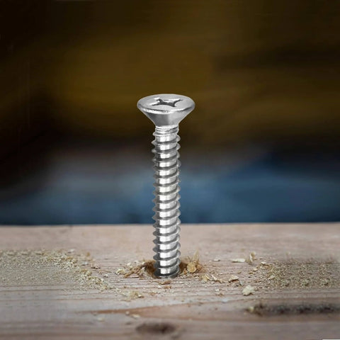 100 Pack Size Six Drywall Screws 1-1/4 Inch High Hardness Stainless Steel 304 Fine Thread Phillips Drive Bugle Head For Interior Wood Installation With Organizer Box And PH2 Long Bit close-up