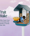3 In 1 Bird Nutrition Kit With Water Fountain, Fruit Spike And Jelly Tray Feeder For Outdoor Bird Watching attached to birdhouse