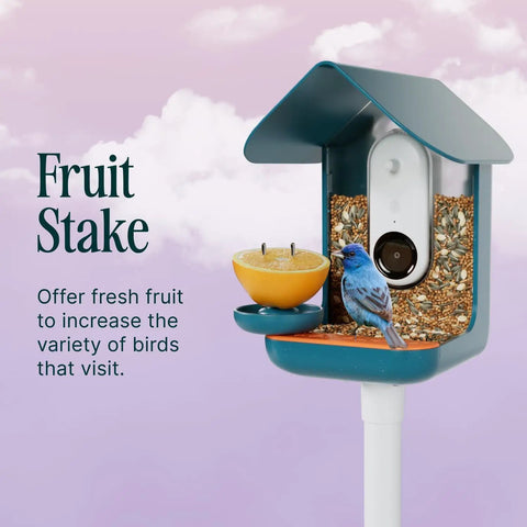 3 In 1 Bird Nutrition Kit With Water Fountain, Fruit Spike And Jelly Tray Feeder For Outdoor Bird Watching attached to birdhouse