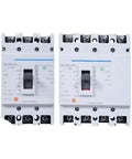 Hardcore Plastic Case Circuit Breaker And Heavy Duty Air Switch NM1 Series 63A To 250A two breakers with detailed labels mounted side by side.