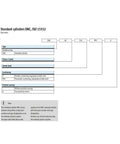 Standard cylinders DNC, ISO 15552 type codes chart for Heavy Duty Aluminum Pneumatic Cylinder Featuring Double Acting Air Design.