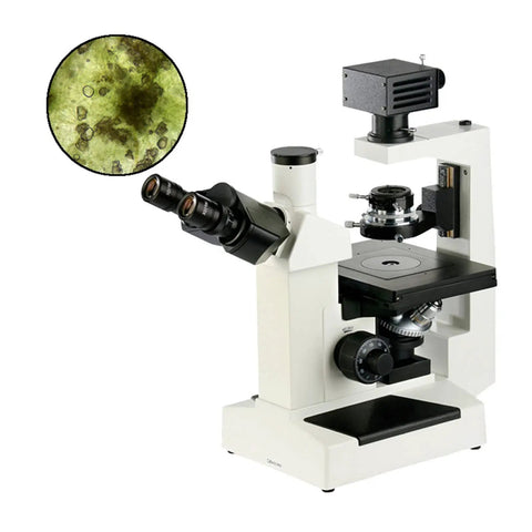 400X Trinocular Inverted Biological Microscope For Cell Culture And Tissue Study, Phase Contrast, Long Working Distance Objectives, 30 Degree Tilt Observation Tube, WF10X Eyepieces, Four Hole Converter, Ready For School Lab And Science Education; white inverted microscope