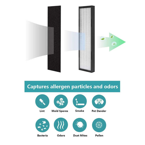 FLT5000 Filter C True HEPA Replacement Filter showing allergen capture process for air purifiers
