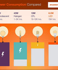 Light bulb power-consumption infographic by Sylvania showing 60W incandescent, 43W halogen, 13W CFL, and 8.5W LED.