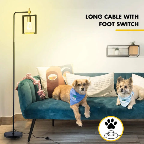 6006 Floor Lamp Black Edition Modern Tall Standing Light for Living Room with dogs on sofa