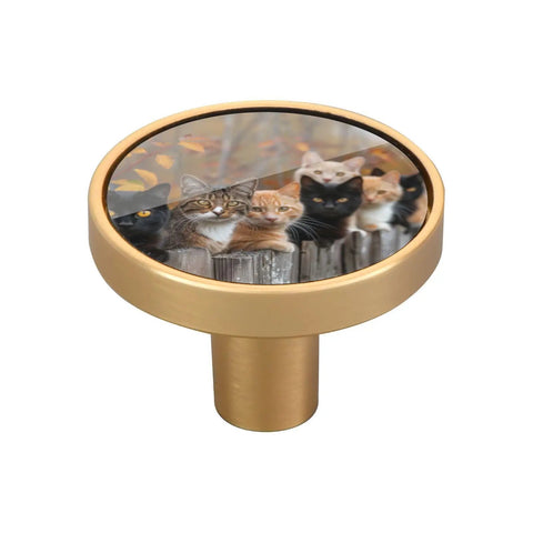 4 Pack Cat Crew Wooden Fence Cabinet Knobs With Zinc Alloy Pulls For Dresser Drawer And Cupboard Furniture Hardware