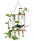 Wall Mounted Water Culture Plant Station With Wooden Bracket And Glass Tube Vases For A Boss Home Office Vibe, modern decor