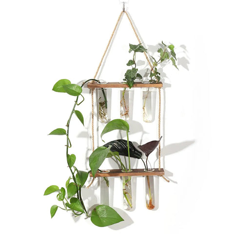 Wall Mounted Water Culture Plant Station With Wooden Bracket And Glass Tube Vases For A Boss Home Office Vibe, modern decor