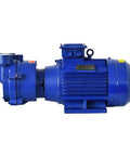 Industrial Beast Mode Compact Submersible Water Ring Vacuum Pump Featuring Slick Brushless Motor for smooth water circulation