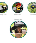 Dual Chamber Tumbling Compost Bin Rotating With 2 Doors For All Season Outdoor Gardening 140L 37 Gallon process stages