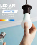 Hand installing Pack Of 6 A19 LED Light Bulbs 60W Equivalent 5000K Bright White 800 Lumens 9W Replacement E26 Base