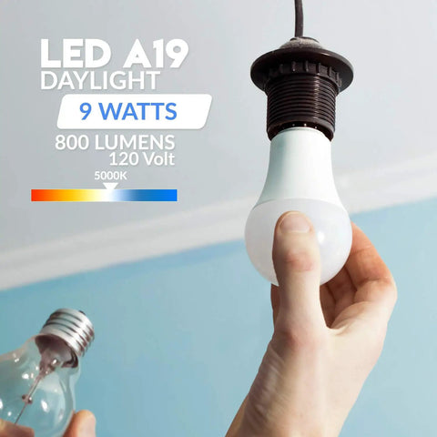 Hand installing Pack Of 6 A19 LED Light Bulbs 60W Equivalent 5000K Bright White 800 Lumens 9W Replacement E26 Base