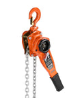 1 Ton Lever Chain Hoist With 10 Ft Lift G80 Chain Dual Pawl Mechanical Brake 360 Degree Hooks Warehouse Garage