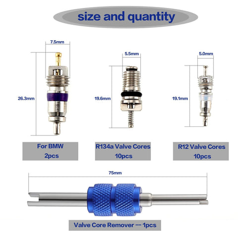 Automotive valve core kit with R12 and R134a cores (10 each), 2 BMW cores, and blue double-head remover tool