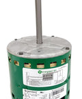 Replacement X13 Furnace Blower Motor One Third HP 208 to 230V Universal Reversible Rotation No Fuss Auto Sensing 48 Frame