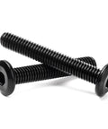 Toolbox Essential 304 Stainless Steel Hex Socket Cap Screws And Bolts 1/4 20 X 1 1/2 Inch showing two black zinc plated bolts.