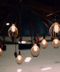 Multiple vintage exposed filament LED ST19 bulbs with clear glass and E26 base, 60W equivalent, hanging in cage fixtures.
