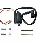 Bayou 300 Ignition CDI Box And Ignition Coil And Starter Solenoid Relay Replacement For KLF300 And KEF300 Lakota 300 ATVs parts kit
