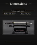 Wakizashi Iaito Training Sword For Iaido Practice Unsharpened Stainless Steel Blade With Fuller Groove displayed with dimensions