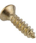 Top Shelf Brass Finished Steel Wood Screws Featuring Phillips Cross Drive And Flat Sinking Oval Heads For Heavy Duty Fastening On Cabinetry And Solid Furniture Assembly Projects close-up of a brass-coated oval head screw.
