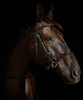 Soft Leather English Side Pull Bitless Bridle With Web Reins, Black, Fully Lined Noseband Neck And Brow Band on Horse