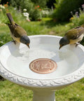 Two birds at bird bath with Nearly Ninety Nine Point Nine Percent Pure Copper Purification Disk For Outdoor Bird Baths visible