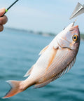 Person holding fishing rod with a fish caught using Six Pack 4 Oz Pyramid Fishing Sinkers For Surf Casting And Saltwater Beach Fishing Anti Roll Triangle Lead Weights With Strong Hold For Long Distance Casting And Reliable Shoreline Tackle For Saltwater Anglers.