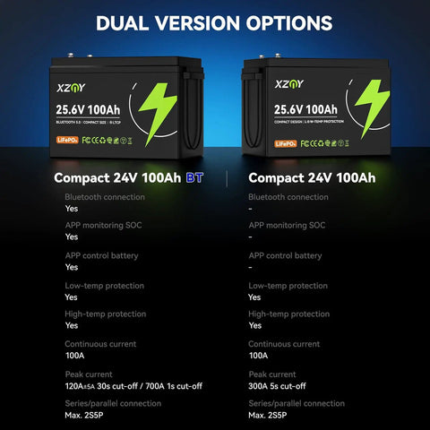Two compact 24V 100Ah LiFePO4 batteries with built-in 100A BMS, low temp protection, and dual version options displayed.