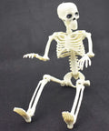 16 Inch Posable Halloween Skeleton With Movable Joints full-body prop sitting for haunted houses and indoor decor projects