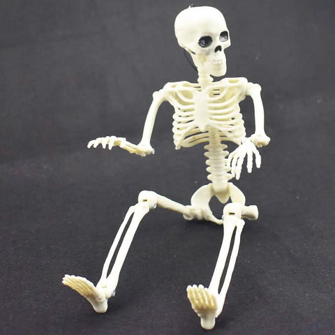 16 Inch Posable Halloween Skeleton With Movable Joints full-body prop sitting for haunted houses and indoor decor projects