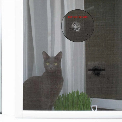 Gray cat behind a window screen with visible hole before using Three Layer Waterproof Adhesive Screen Repair Tape For Fast Hole And Tear Fixes, Fiberglass Repair Kit In Gray, Heavy Duty Patch For Windows And Screens, 1.97 X 78.7 Inches, DIY Home Repair Solution.