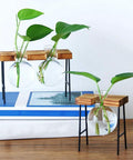 Glass Propagation Terrarium Planter Stations Stand for Desktop Indoor Hydroponics with two bulb vases and green cuttings