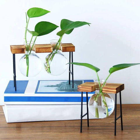 Glass Propagation Terrarium Planter Stations Stand for Desktop Indoor Hydroponics with two bulb vases and green cuttings