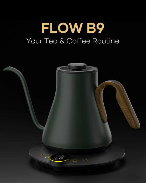 Gooseneck Electric Kettle With 1 Degree Temperature Control 1500W Fast Heating Pour Over Coffee And Tea Kettle With Brew Timer