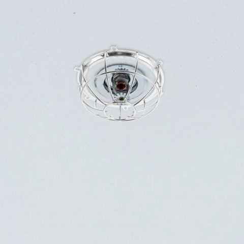 Heavy Duty Screw Mount Fire Sprinkler Guard Cage Shield mounted on ceiling, protecting sprinkler head with a steel cover.