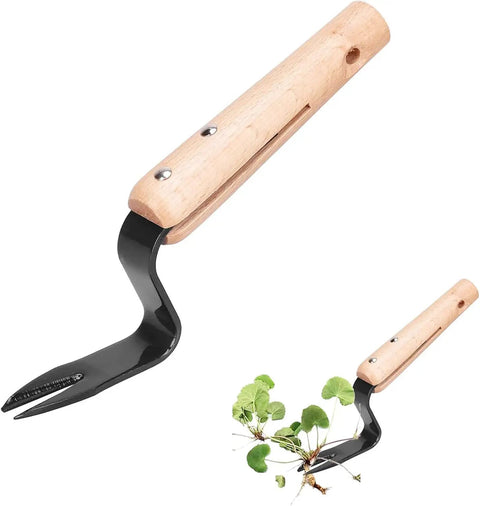 Root Lifter Weeding Tool For Lawn And Yard Hand Weeder With Angled Head For Easy Weed Removal And Deep Root Digging Stainless Rust Proof Steel Yard Tool For Tough Weeds with wooden handle and angled steel head.