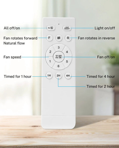 Remote for Dope 18 Inch Flush Mount Ceiling Fan With Lights Low Profile Black Industrial Cage Fixture, detailed view of buttons.