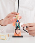 Hands using Dollhouse Science Lab Mini Kit With Glass Test Tubes And Wood Rack One Twelfth Scale Two Sets For Totally Realistic Desktop Lab Decor And Micro Landscape Ornament Brown Finish