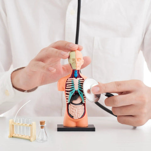 Hands using Dollhouse Science Lab Mini Kit With Glass Test Tubes And Wood Rack One Twelfth Scale Two Sets For Totally Realistic Desktop Lab Decor And Micro Landscape Ornament Brown Finish