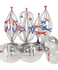 Hands On Biology Cell Model Set For Animal And Plant Mitosis And Meiosis Nine Part Anatomy Lab Kit with colorful stages.