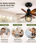 20 Inch Ceiling Fan With Light Socket And Remote, Vintage Industrial Socket Fan Light for garage, bedroom, kitchen use