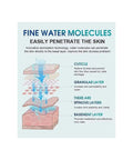 Diagram showing water molecule penetration in skin layers for Hydrogen Bath Generator With 99.99 Percent H2 Concentration