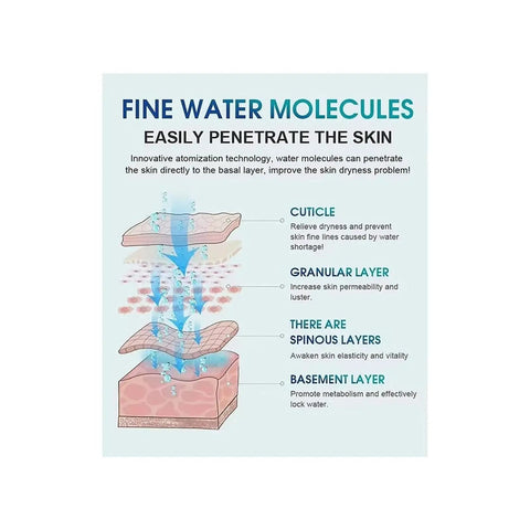 Diagram showing water molecule penetration in skin layers for Hydrogen Bath Generator With 99.99 Percent H2 Concentration