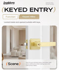 Gold door handle on interior door from 5 Pack Entry Door Lockset With Keys, satin brass finish, shown in living room setting