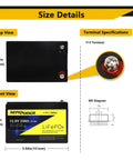 12V 20Ah LiFePO4 Deep Cycle Battery With 4000 Cycles Built In 40A BMS Screw Terminals Lightweight Rechargeable Power Pack, size and terminals