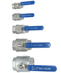 Heavy Duty NPT Female 316 Stainless Steel Full Port Ball Valve With Vinyl Handle, Built To Last, Low Torque Operation, PTFE Seals, 1000 WOG, Half Inch
