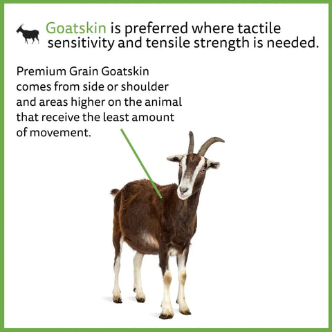 Diagram showing source of Premium Grain Goatskin from goat, emphasizing tactile sensitivity in Premium Grain Goatskin Driver Gloves.